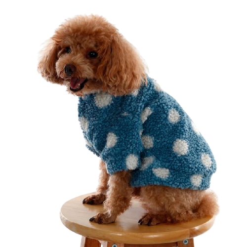 Polka Dot Cashmere Dog Sweater
