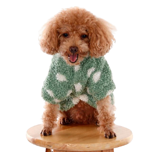 Polka Dot Cashmere Dog Sweater
