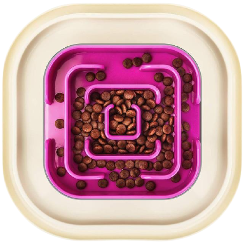 No-Spill Slow Feeder For Dogs