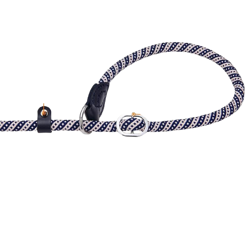 Strong Braided Slip Dog Leash