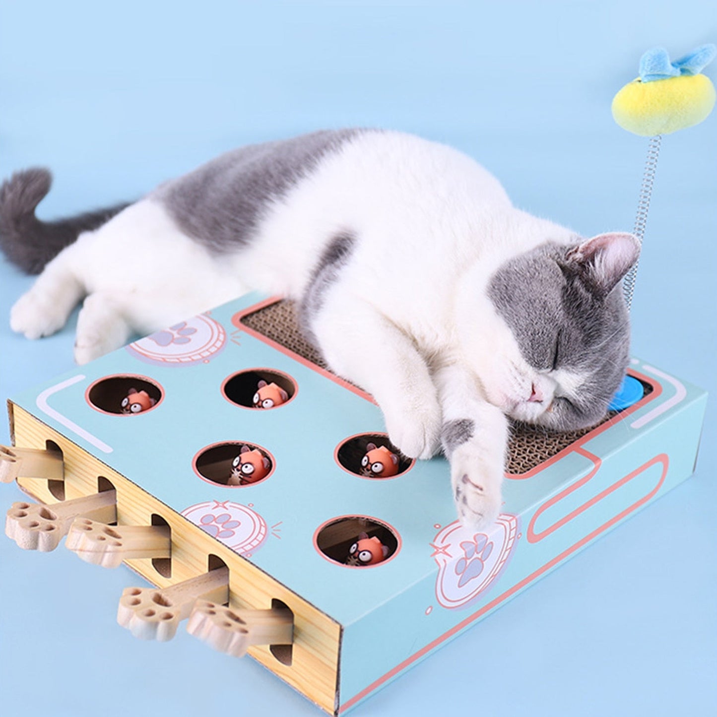 Funny Cat Toy Turntable Scratch Board