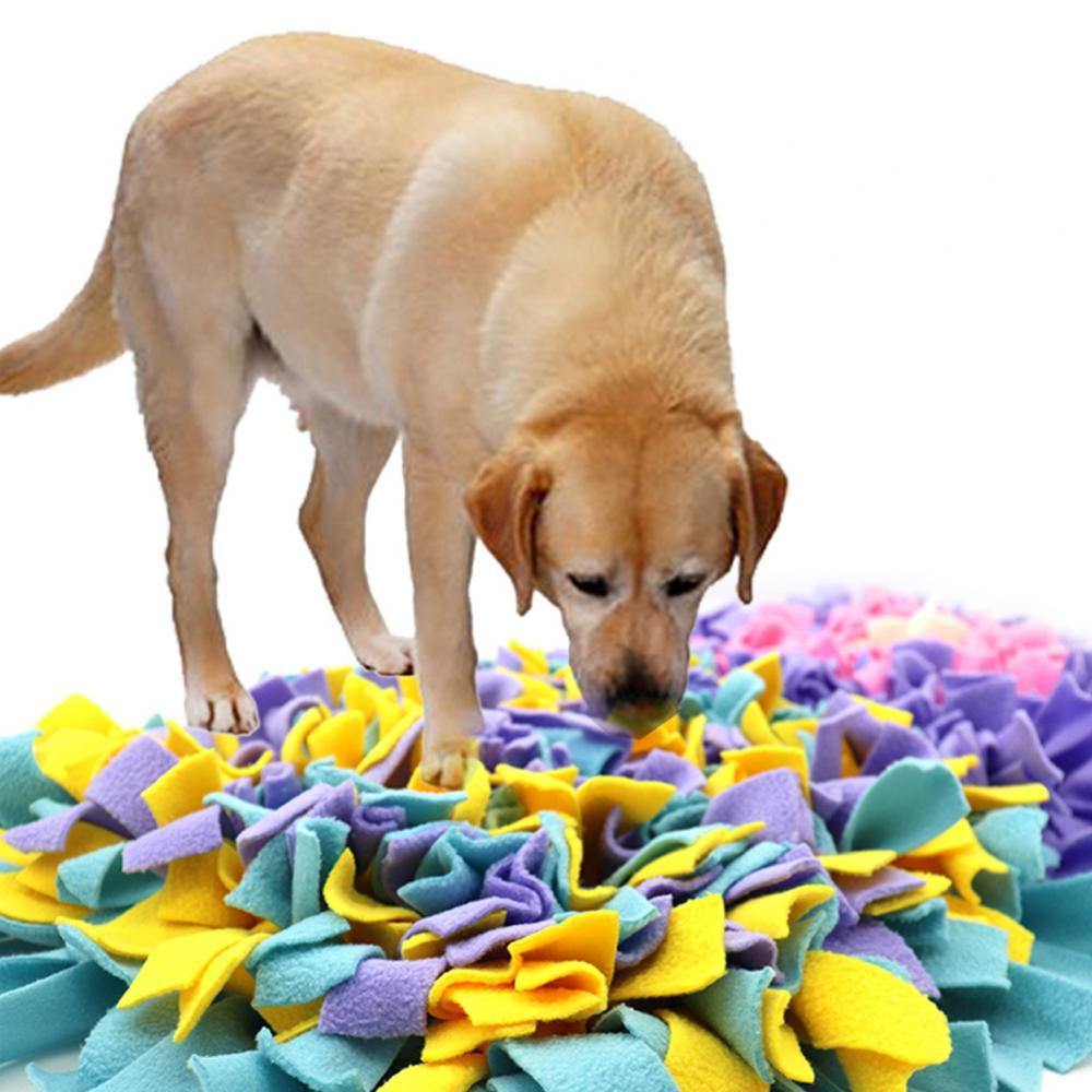 Colorful Dog Snuffle Mat - Bark ‘n’ Paws
