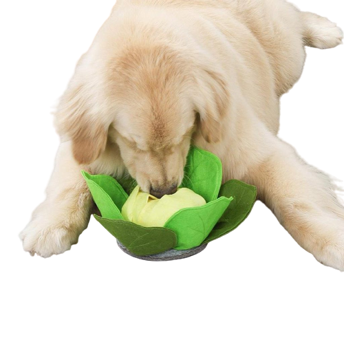 Pet Cabbage Toy Snuffle Mat
