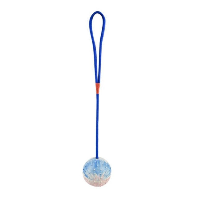 Pet Dogs Training Toy Natural Rubber Ball
