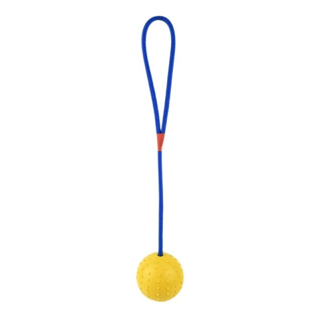 Pet Dogs Training Toy Natural Rubber Ball