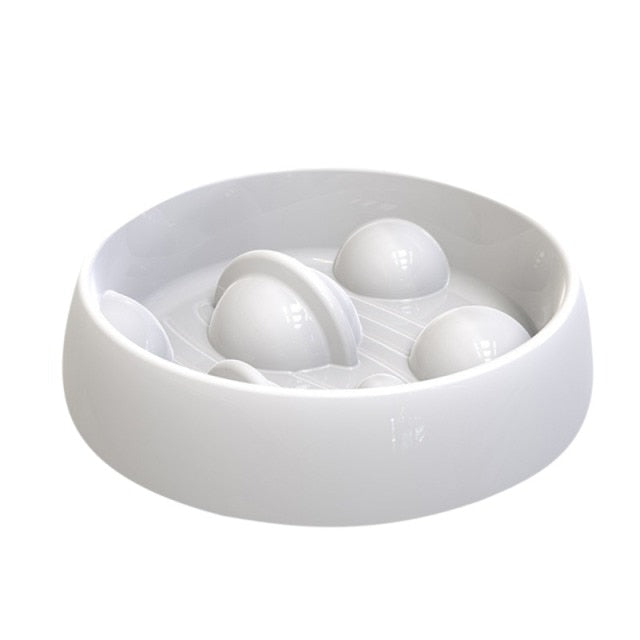 Slow Food Bowl Funny Dog Feeder