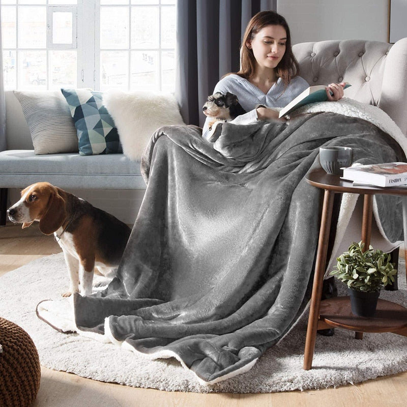 Cozy Reversible Dog Blanket