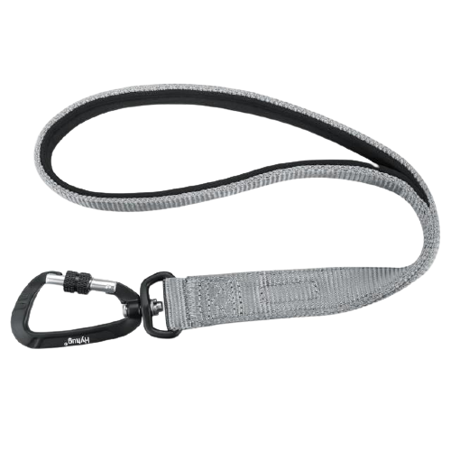 Padded Nylon Dog Walking Leash