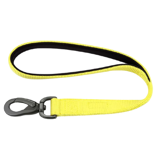 Padded Nylon Dog Walking Leash