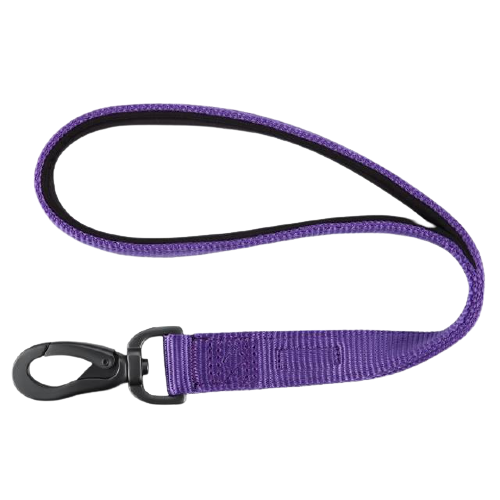 Padded Nylon Dog Walking Leash