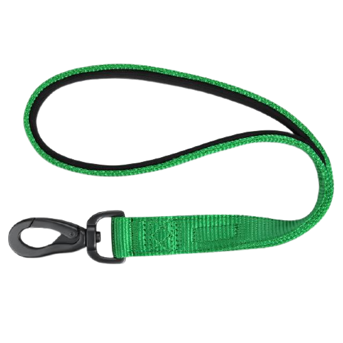 Padded Nylon Dog Walking Leash