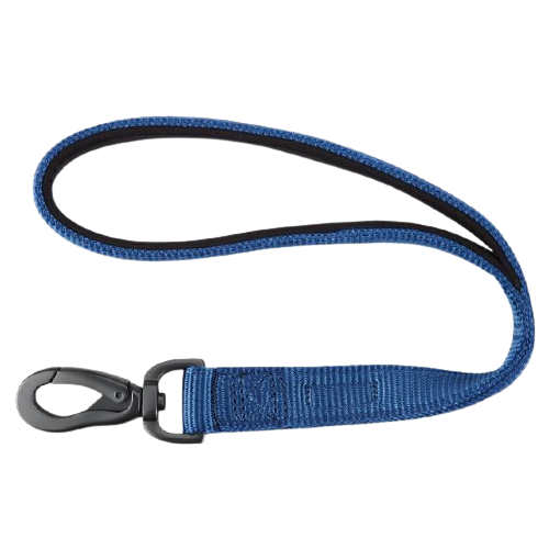 Padded Nylon Dog Walking Leash