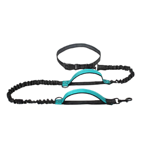 Hands Free Dog Leash Dual Padded Handle
