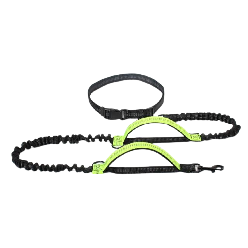 Hands Free Dog Leash Dual Padded Handle