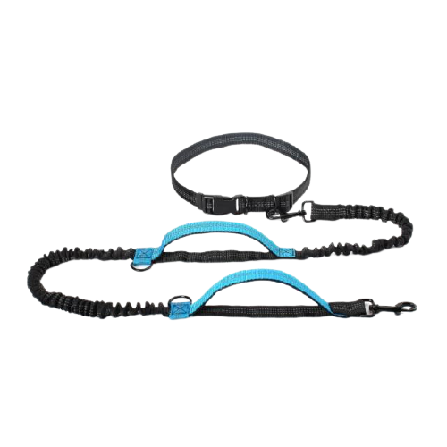Hands Free Dog Leash Dual Padded Handle