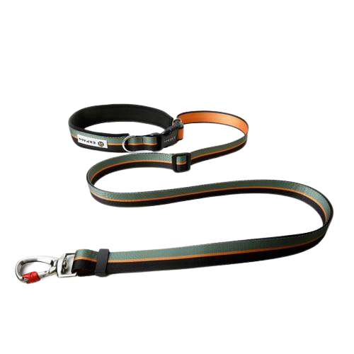 Hands Free Elastic Dog Leash