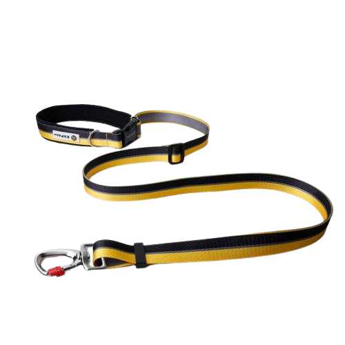 Hands Free Elastic Dog Leash