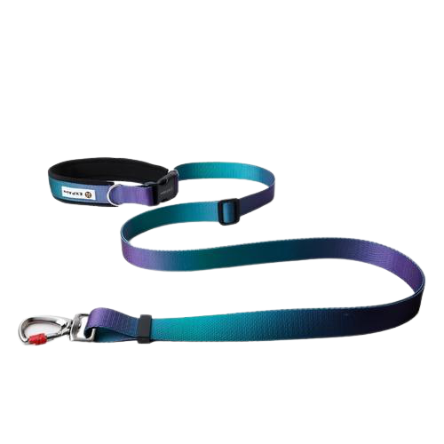 Hands Free Elastic Dog Leash