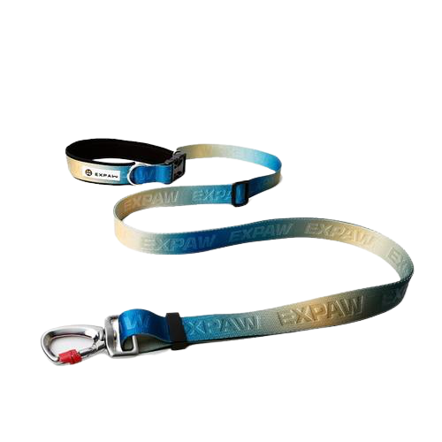 Hands Free Elastic Dog Leash
