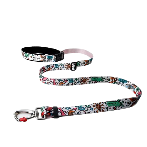 Hands Free Elastic Dog Leash