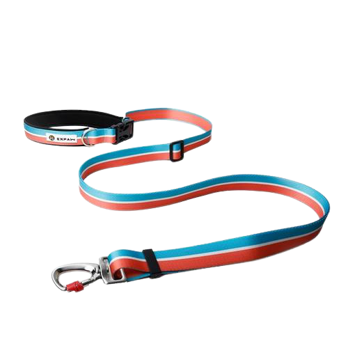 Hands Free Elastic Dog Leash