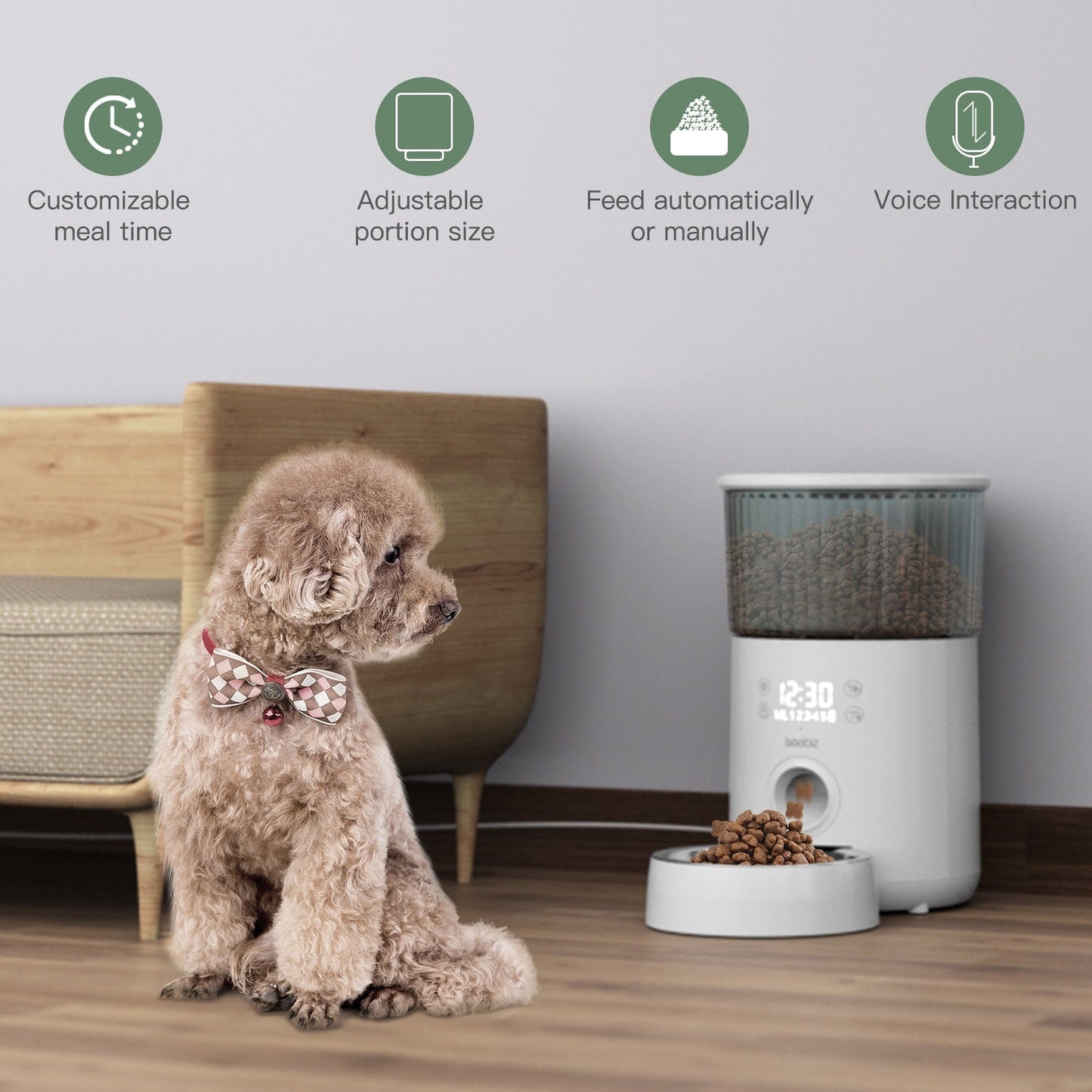 4L Automatic Smart Pet Feeder