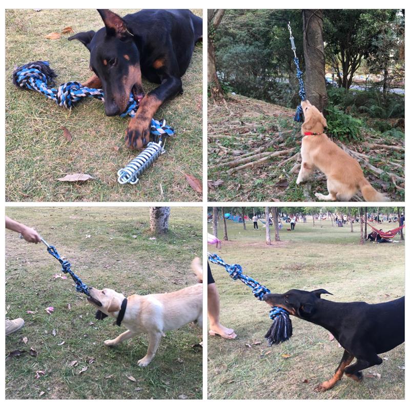 Spring Pole Tug Of War Dog Rope Toy