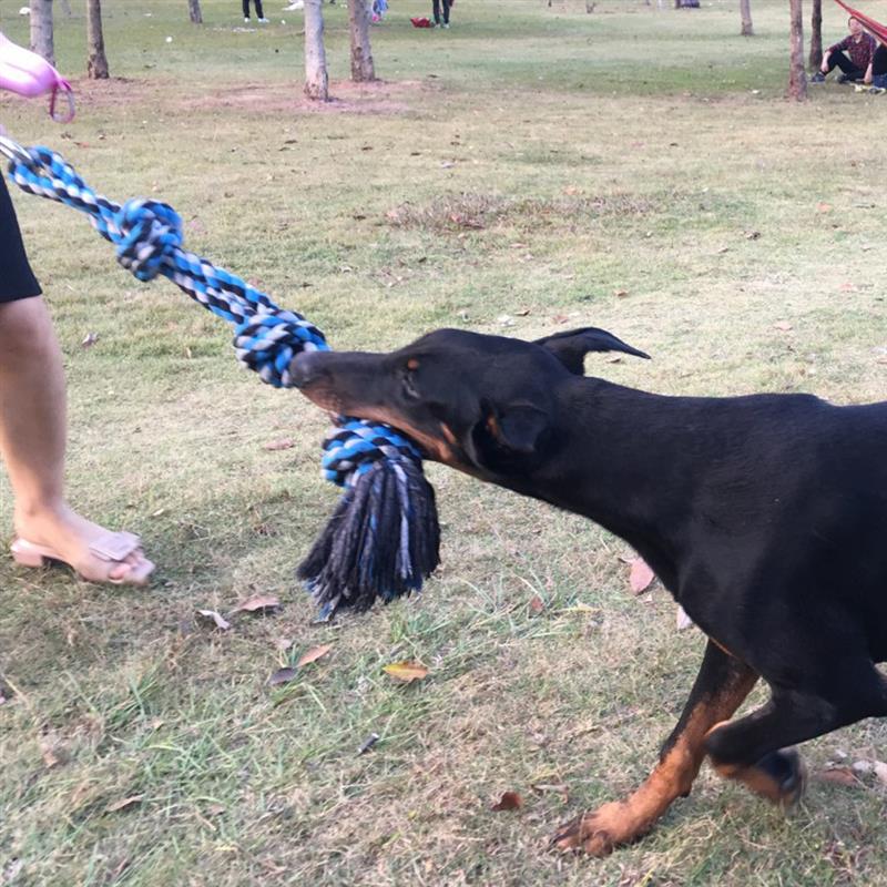 Spring Pole Tug Of War Dog Rope Toy