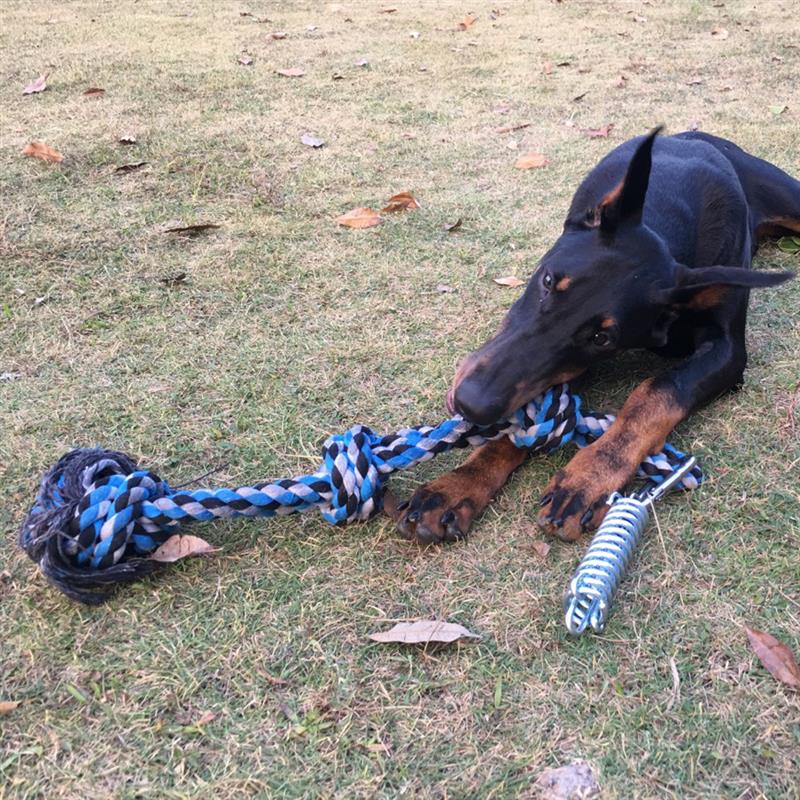 Spring Pole Tug Of War Dog Rope Toy