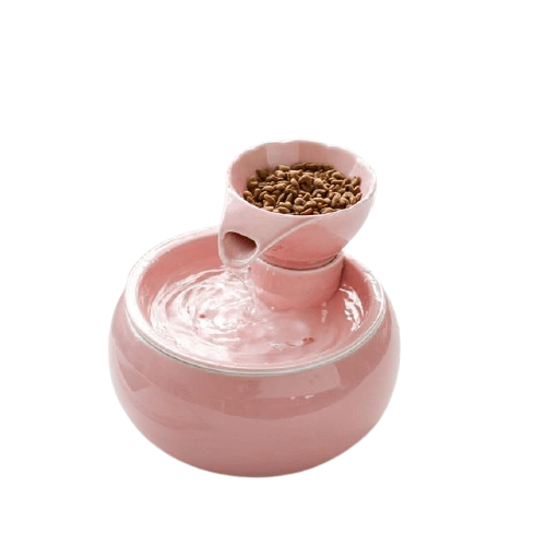 Ceramic Pet Water Fountain - Bark ‘n’ Paws