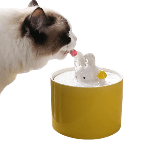 Creative Ceramic Pet Water Fountain - Bark ‘n’ Paws