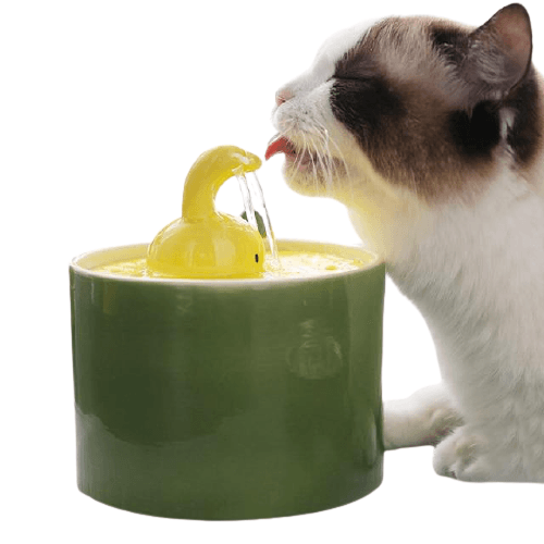 Creative Ceramic Pet Water Fountain - Bark ‘n’ Paws
