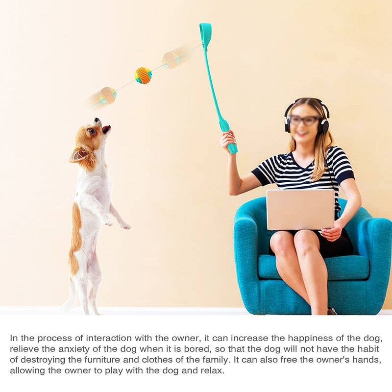 Sports Ball Launcher Dog Fetch Toys