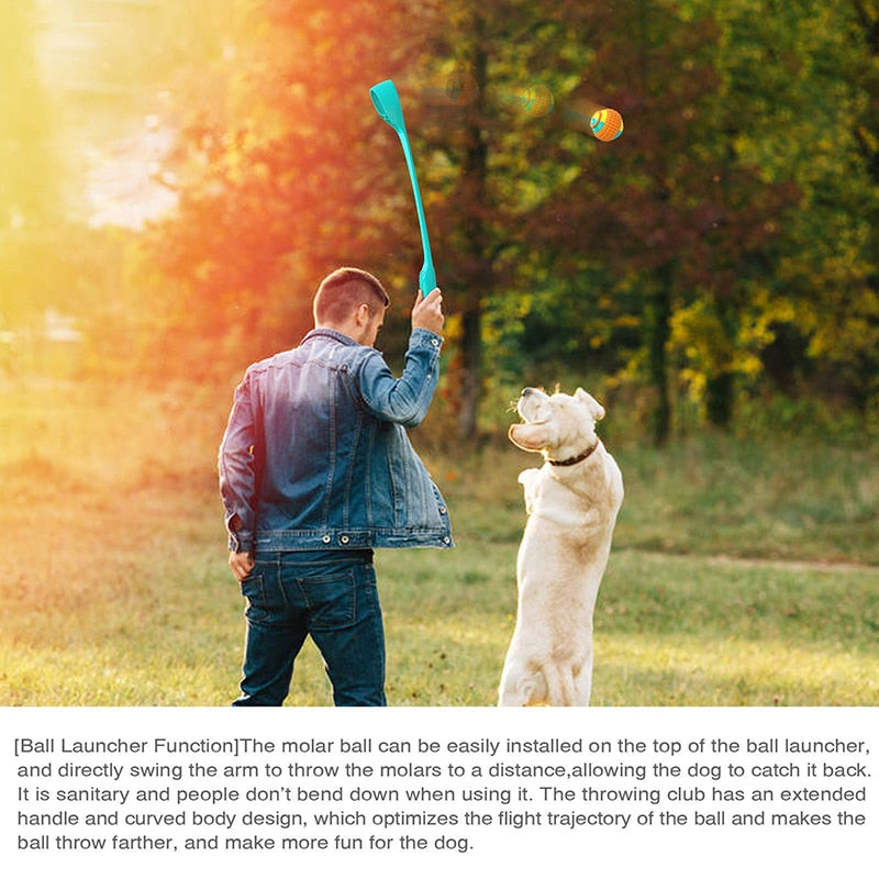 Sports Ball Launcher Dog Fetch Toys