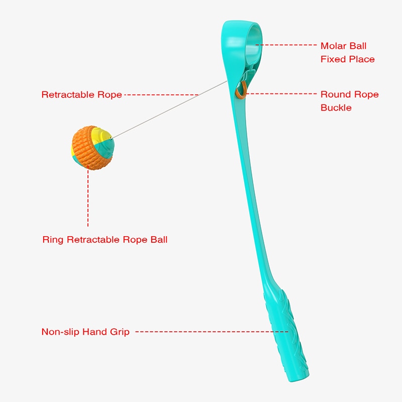 Sports Ball Launcher Dog Fetch Toys