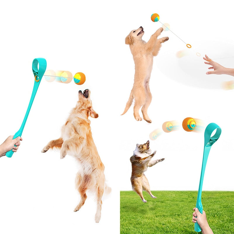 Sports Ball Launcher Dog Fetch Toys