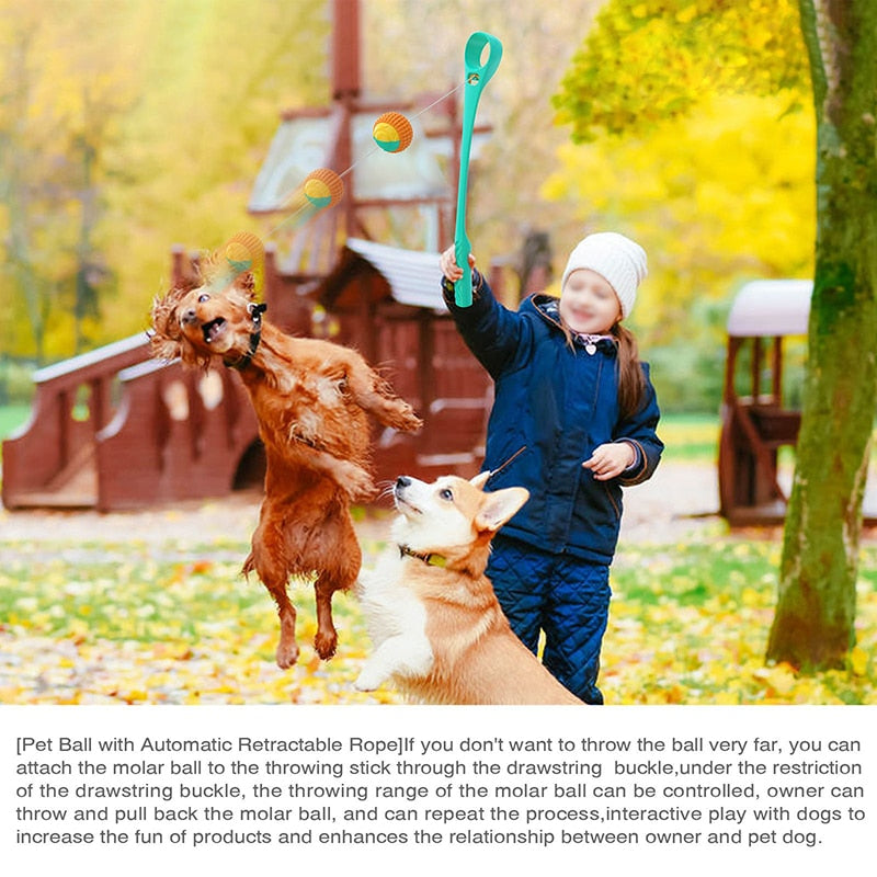 Sports Ball Launcher Dog Fetch Toys