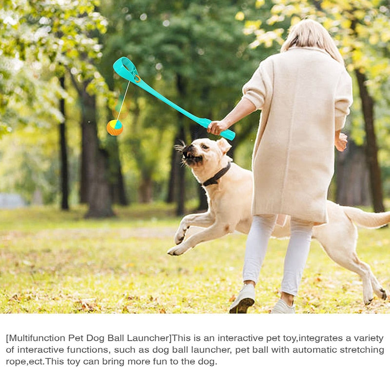 Sports Ball Launcher Dog Fetch Toys