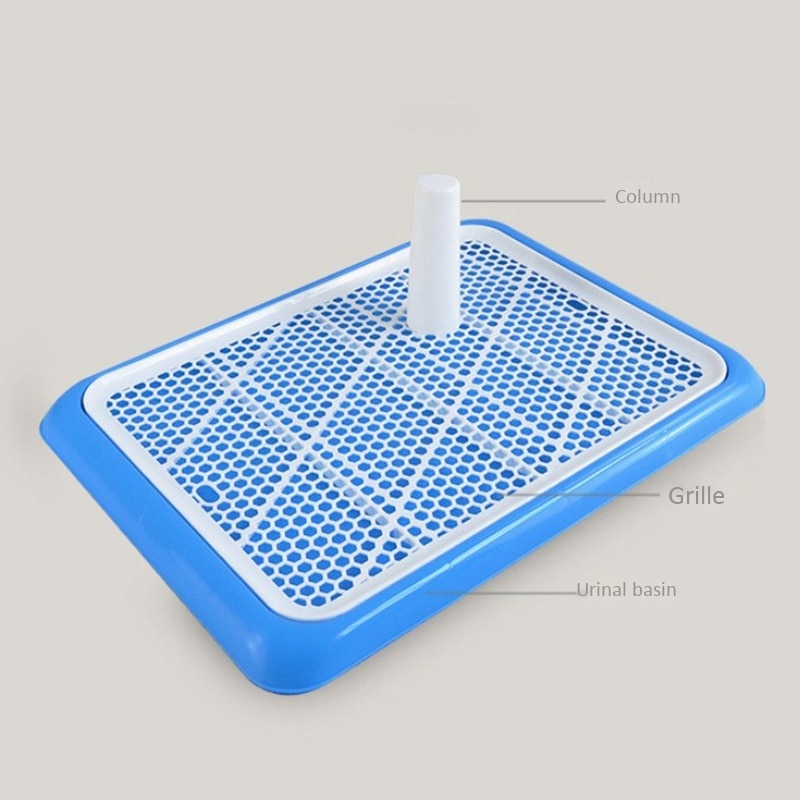 Lattice Dog Toilet Potty