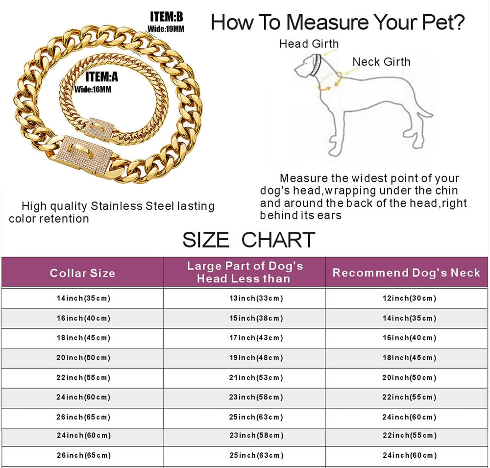Stainless Steel Gold Dog Chain