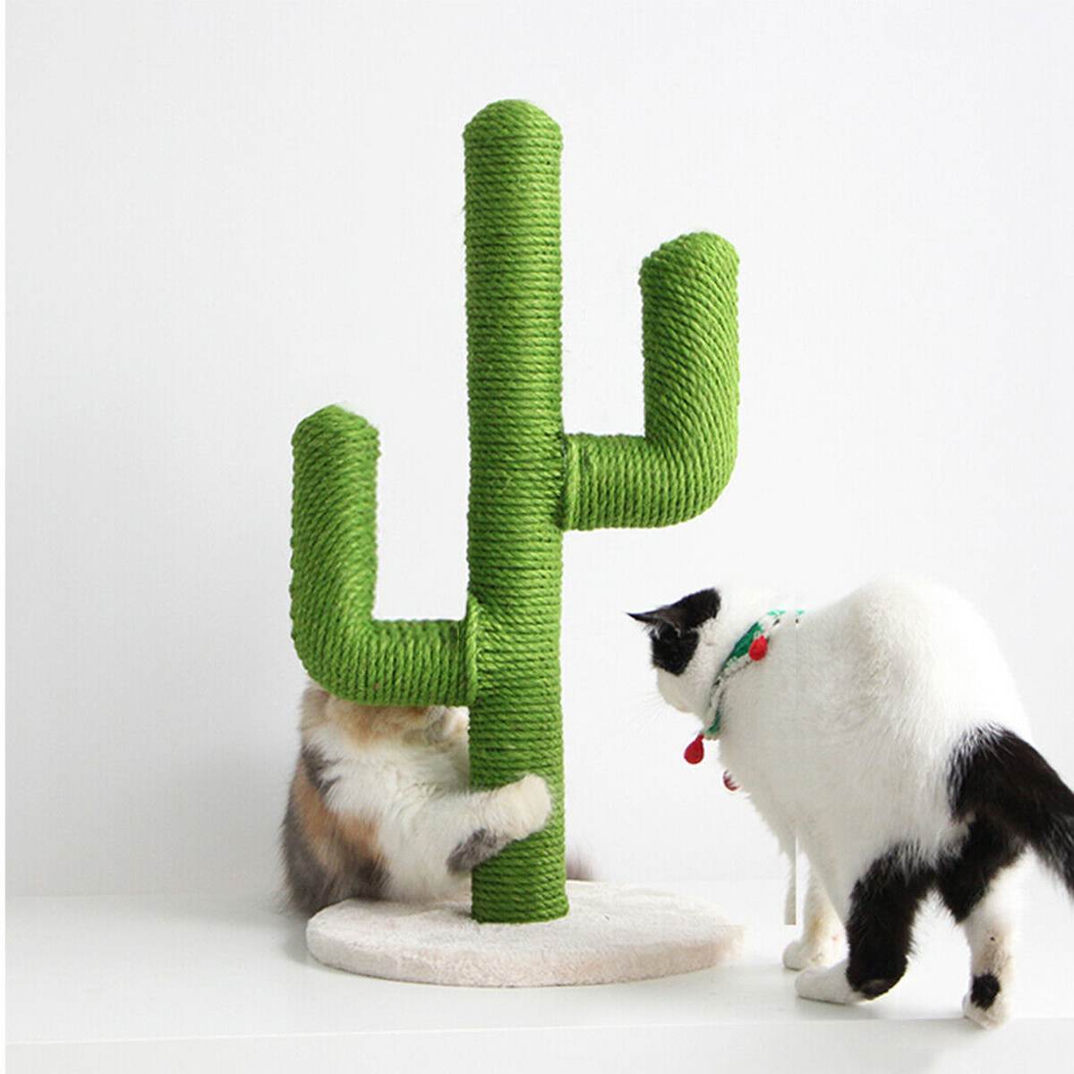 Cactus Cat Scratcher With Ball