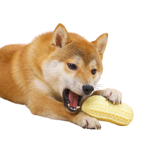 Squeaky Peanut Toys for Aggressive Chewers