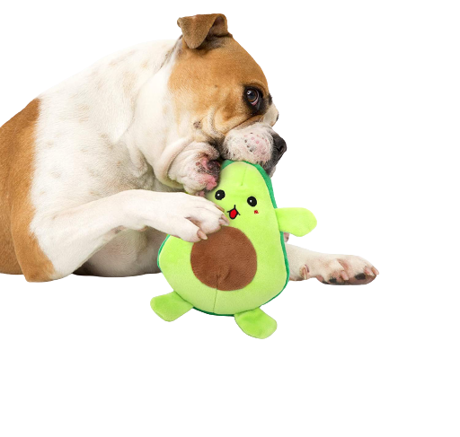 Squeaky 2-in-1 Avocado Dog Toy