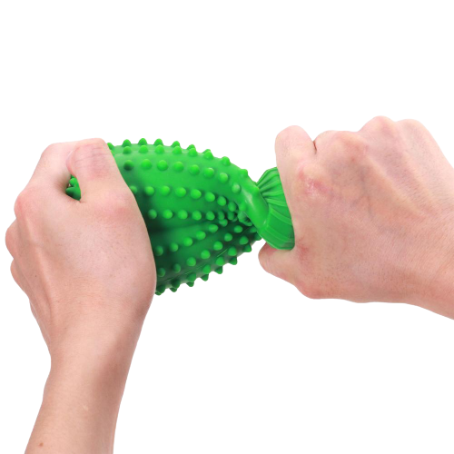 Squeaky Durable Rubber Cactus Dog Toy
