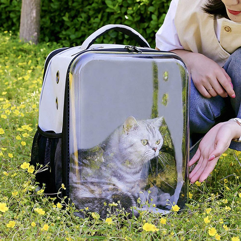 Breathable Small Dog Backpack