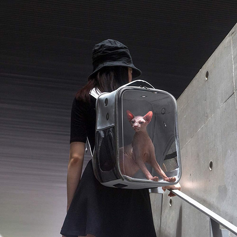Breathable Small Dog Backpack