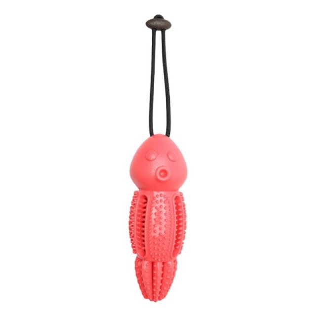 Interactive Silicone Dog Chew Toys