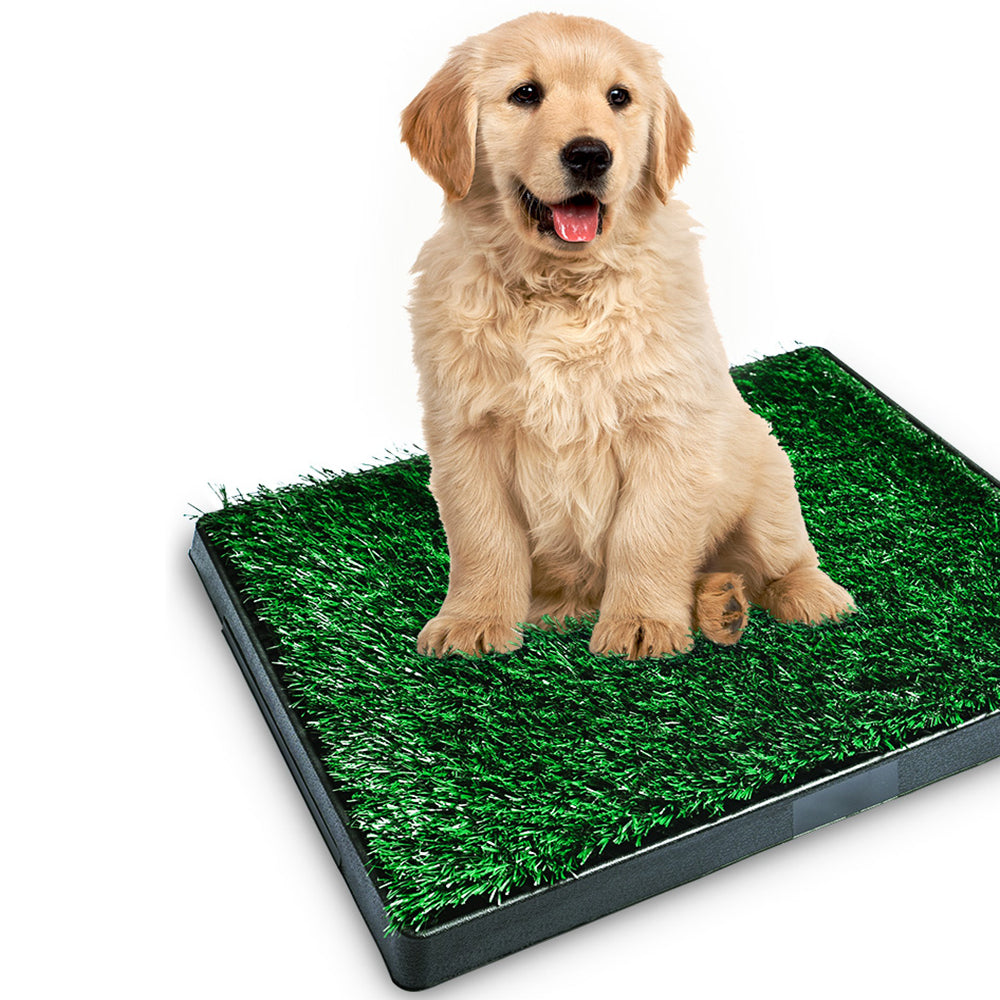 Portable Dog Training Toilet Potty