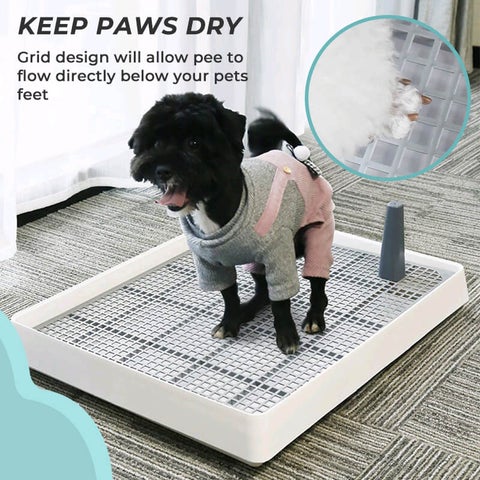 Portable Dog Training Toilet Potty