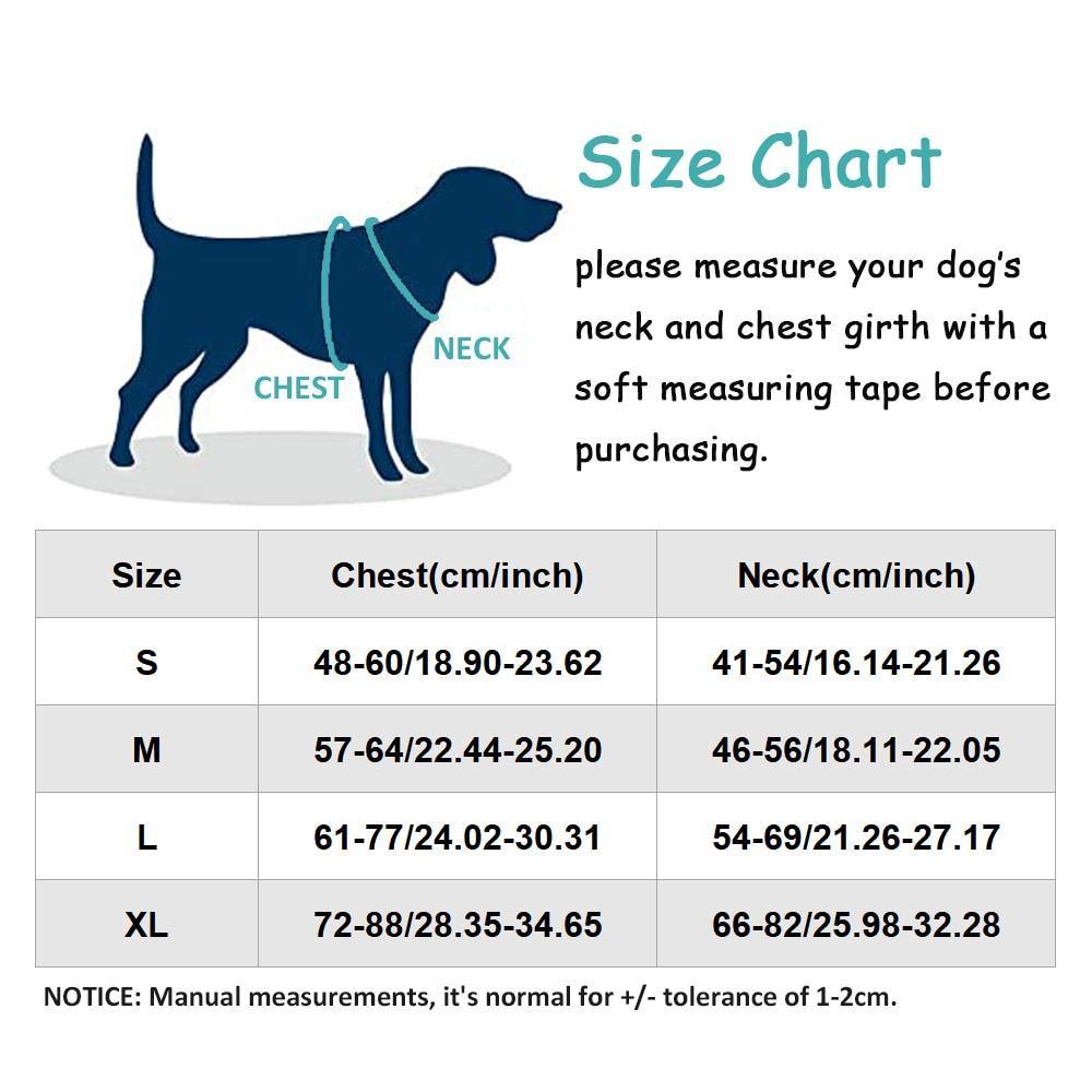 Durable Dog Protective Harness - Bark ‘n’ Paws